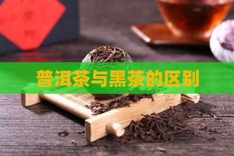 普洱茶等于黑茶