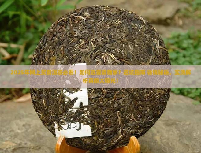 网上买普洱茶哪个靠谱