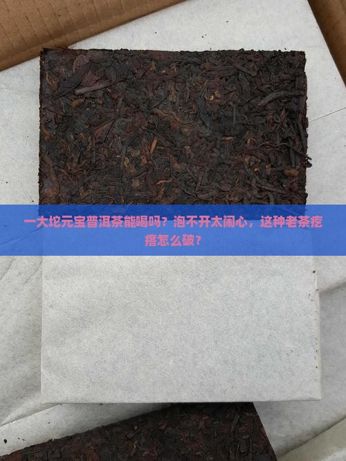 一大坨元宝普洱茶能喝吗