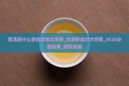 普洱茶什么茶合适做冷泡茶