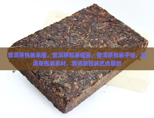 普洱茶包装素描