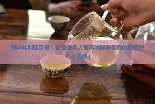 普洱茶名人黄桂书