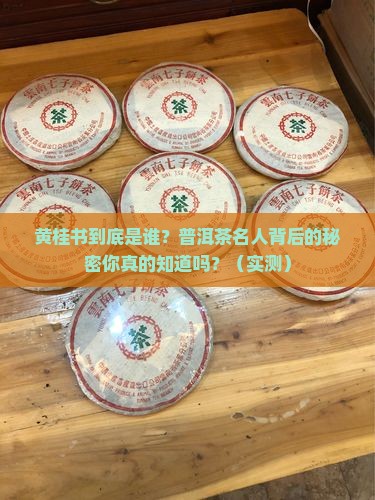 普洱茶名人黄桂书