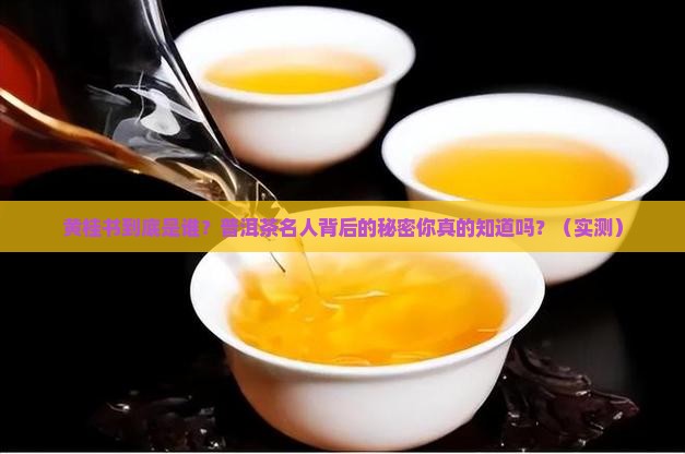 普洱茶名人黄桂书