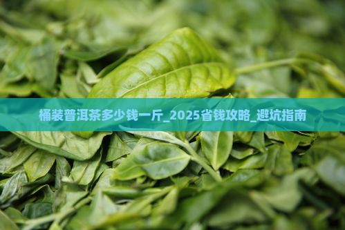 桶装普洱茶多少钱一斤