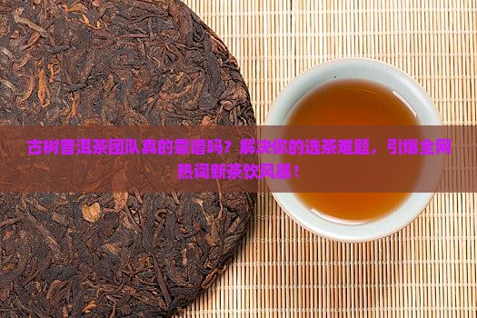 古树普洱茶团队
