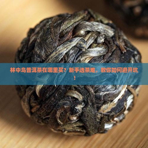 林中鸟普洱茶在哪里买