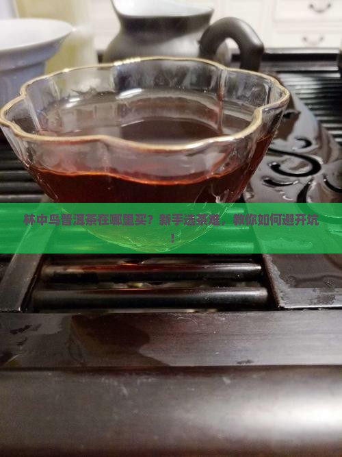 林中鸟普洱茶在哪里买