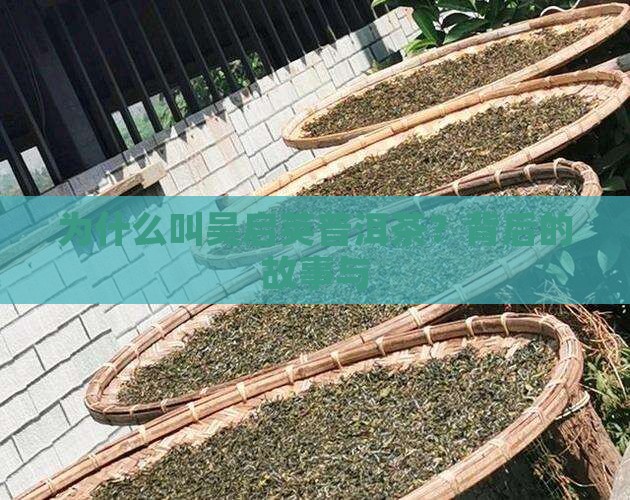 为什么叫吴启英普洱茶
