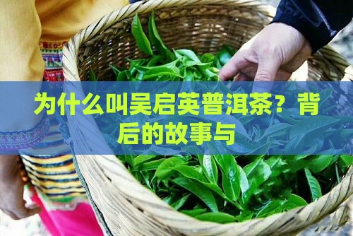 为什么叫吴启英普洱茶
