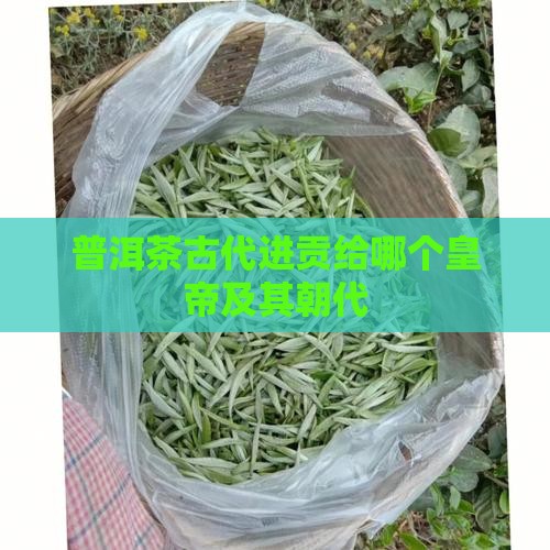 普洱茶古代进贡给哪个皇帝