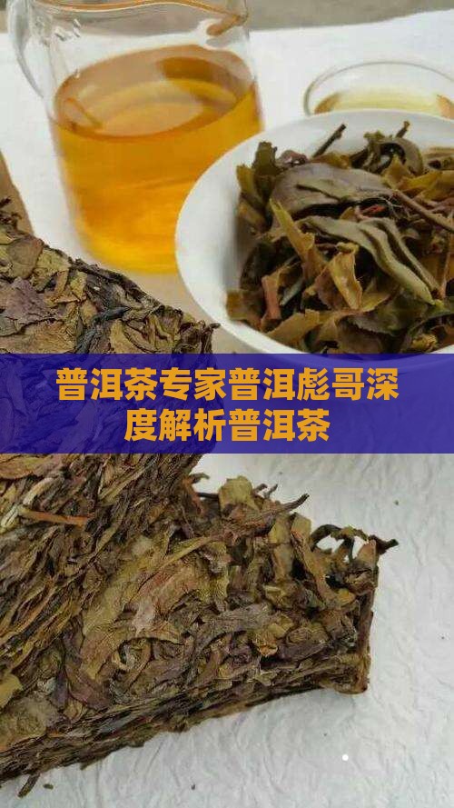 普洱彪哥谈普洱茶