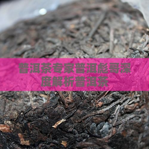 普洱彪哥谈普洱茶