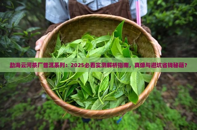 勐海云河茶厂普洱系列