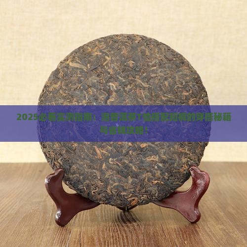 泡普洱茶品牌t恤搭配短裤