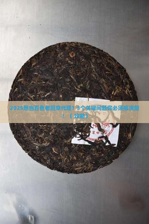 百色老班章如何代理