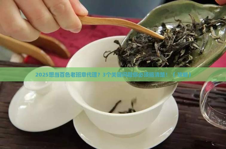 百色老班章如何代理