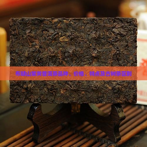 布朗山紫黄普洱茶