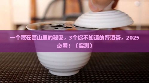 高山之邦普洱茶