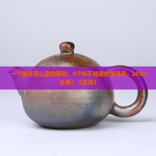 高山之邦普洱茶
