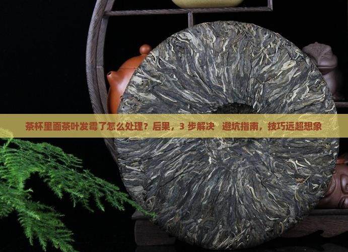 茶杯里面茶叶发霉了怎么处理