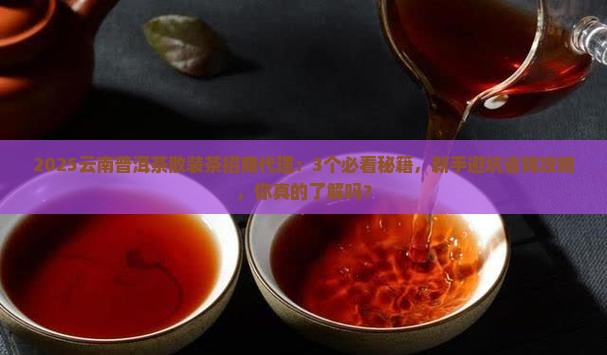 云南普洱茶散装茶招商代理
