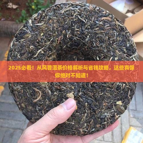 从风普洱茶价格
