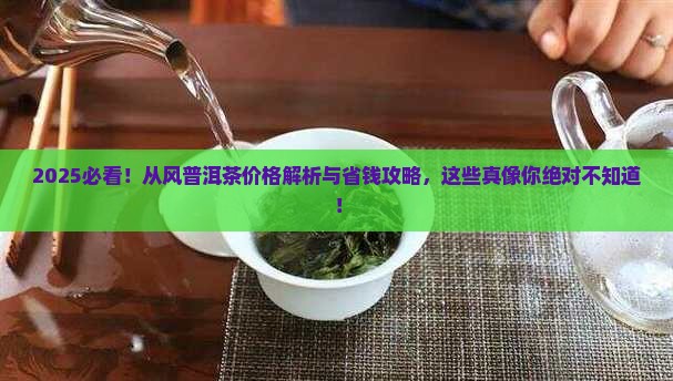 从风普洱茶价格