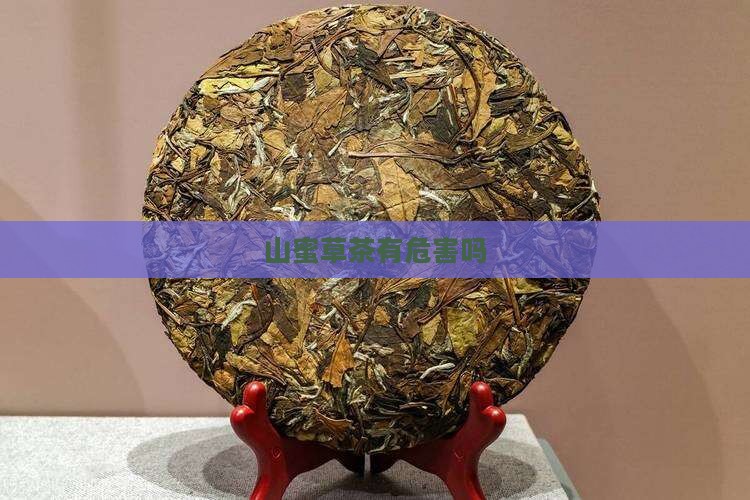山蜜草茶有危害吗
