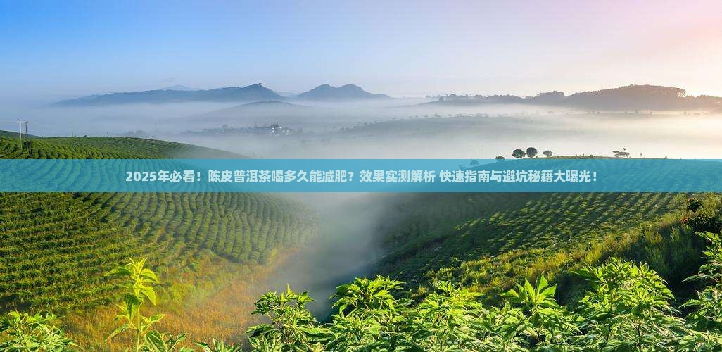 陈皮普洱茶喝多久能减肥