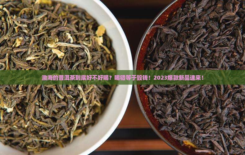 渤海有什么普洱茶好喝的