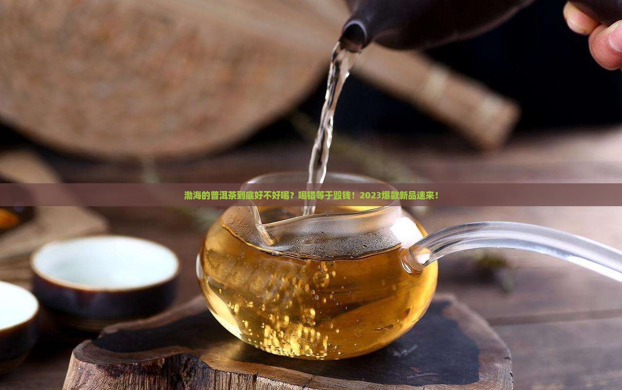 渤海有什么普洱茶好喝的