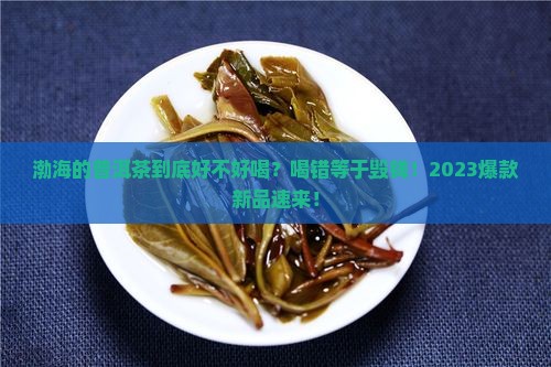 渤海有什么普洱茶好喝的