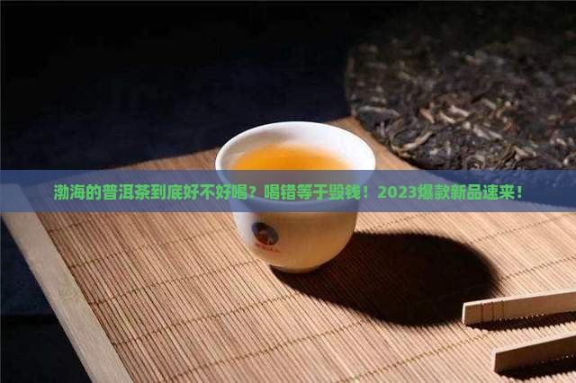 渤海有什么普洱茶好喝的