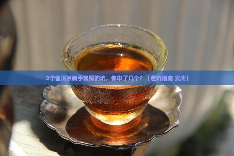 才者普洱茶档次