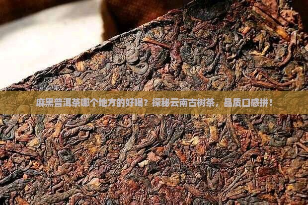 麻黑普洱茶哪个地方的好喝