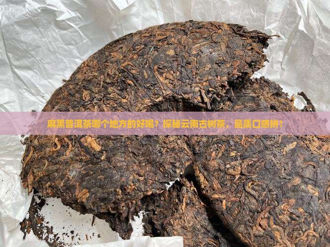 麻黑普洱茶哪个地方的好喝