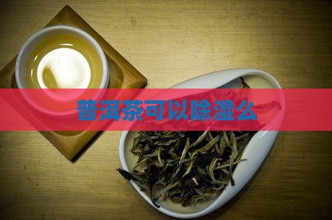 普洱茶可以除湿么