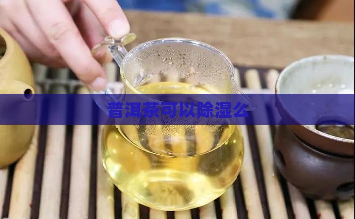 普洱茶可以除湿么