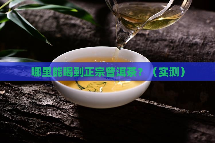 普洱茶生长在台湾的地方