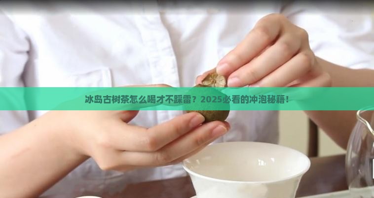 冰岛古树茶应该怎么喝