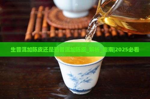 生普洱加陈皮还是熟普洱加陈皮