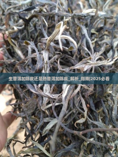 生普洱加陈皮还是熟普洱加陈皮