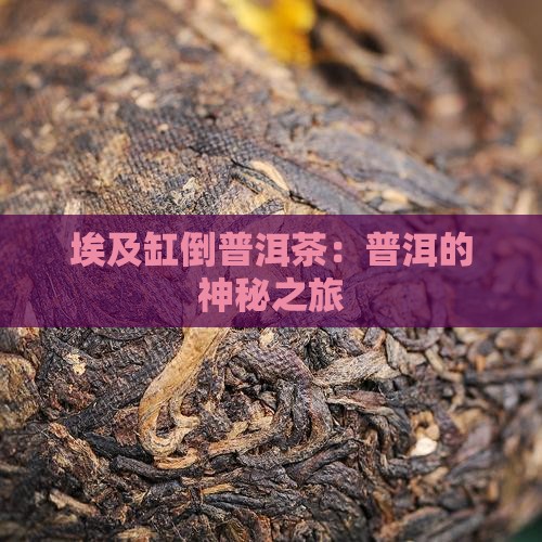 埃及缸倒普洱茶