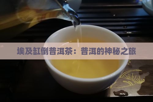 埃及缸倒普洱茶