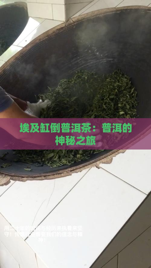 埃及缸倒普洱茶
