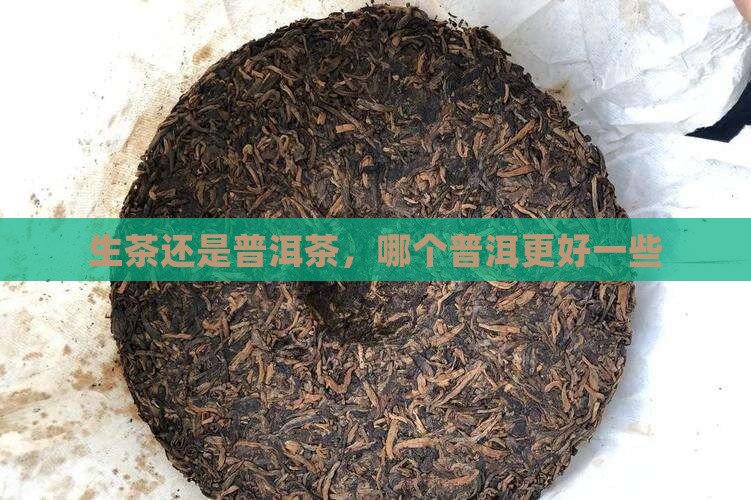 熟普洱茶与生普洱茶哪个好一些