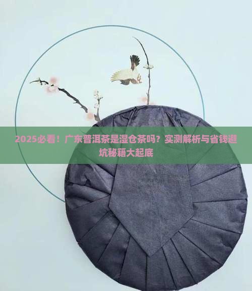广东普洱茶是湿仓茶吗