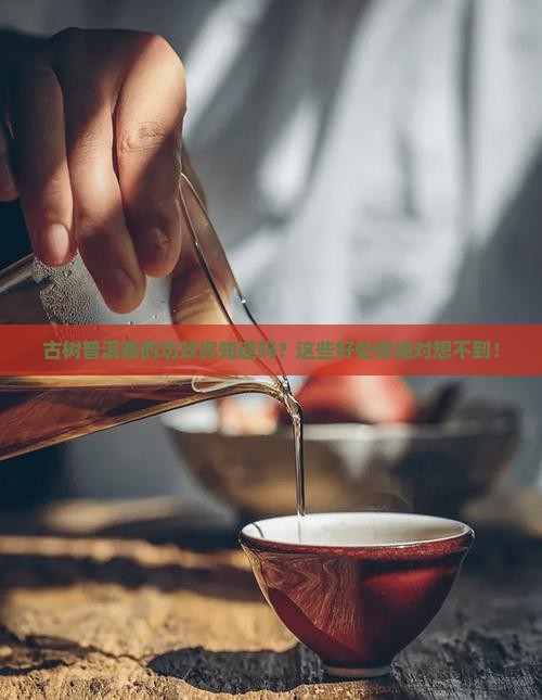 古树普洱茶的功效