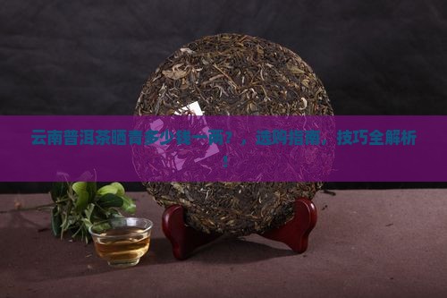 云南普洱茶晒青多少钱一两